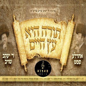 Listen to עץ חיים song with lyrics from יעקב טויב