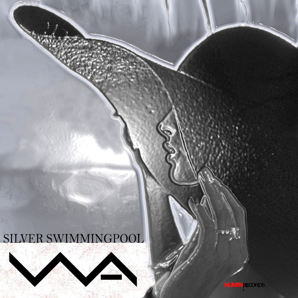 SILVER SWIMMING POOL