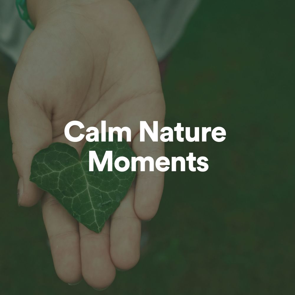 Calm Nature Moments, Pt. 60