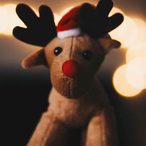 收聽Pryceless的Rudolph, the Red-Nosed Reindeer (Explicit)歌詞歌曲