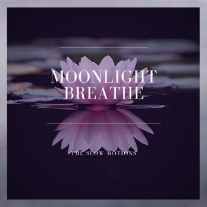 收听The Slow Motions的Sunday Night歌词歌曲