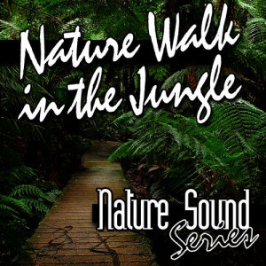 收聽Nature Sound Series的Vietnam Forest Daylight Ambience歌詞歌曲