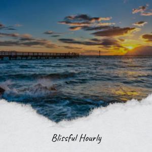Album Blissful Hourly oleh Various