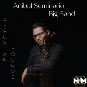 收聽Anibal Seminario的Sin Forma (feat. Dayhan Díaz)歌詞歌曲