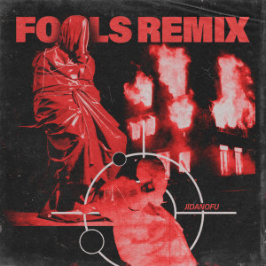 Album Fools (Remix) from Jidanofu