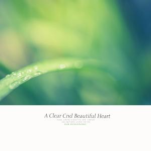 Kim Huigyeong的专辑A Clear Cnd Beautiful Heart