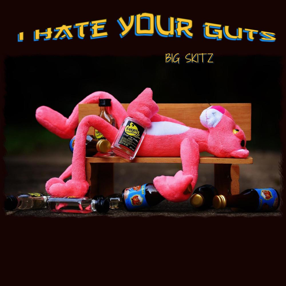 i hate your guts (2012 re release) (Explicit)