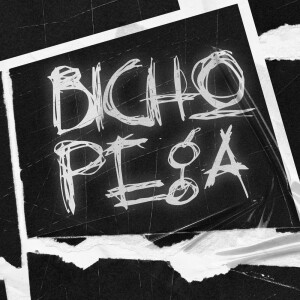 Album BICHO PEGA (Explicit) from DJ Tchouzen