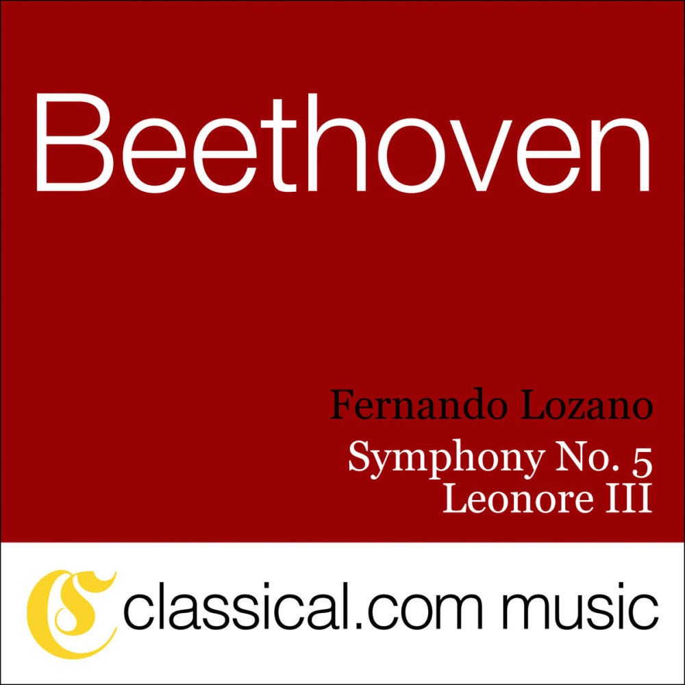 Symphony No. 8 'Unfinished' in B minor, D. 759 - Andante con moto