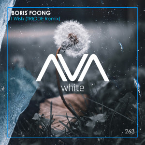 Listen to I Wish (TRIODE Remix) song with lyrics from Boris Foong