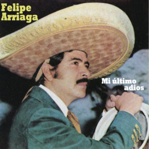 收聽Felipe Arriaga的Perro Sin Dueño歌詞歌曲