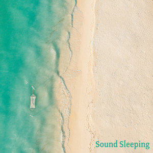 Album Long Waves oleh Sound Sleeping