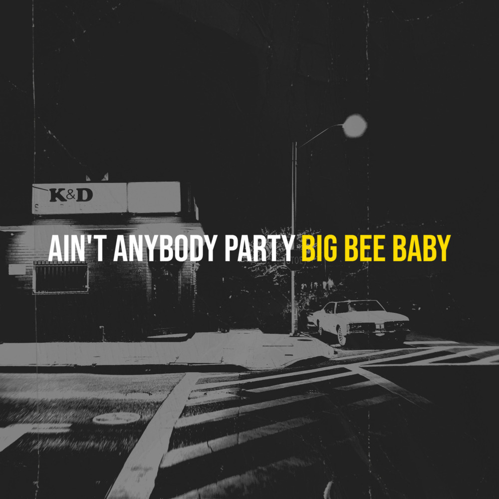 Ain't Anybody Party (Explicit)