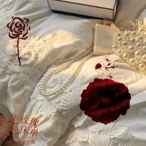 白色床單 紅色玫瑰