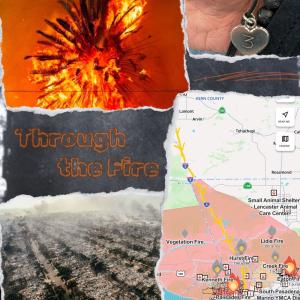 XL的專輯Through the Fire (I Would Drive For You)