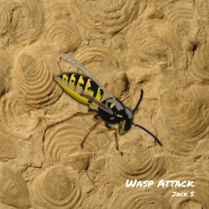 Wasp Attack