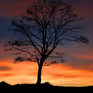 Dengarkan New Age Sleepy Lullaby lagu dari Classic Piano Lullaby dengan lirik