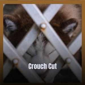 收聽Meom Tere的Wedged歌詞歌曲