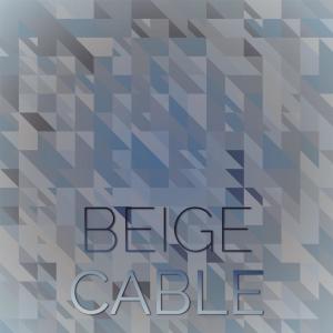 Various Artists的專輯Beige Cable