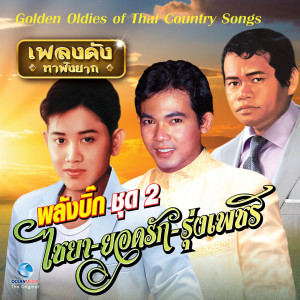 Album เพลงดังหาฟังยาก - ลูกทุ่งรวมฮิต พลังบิ๊ก ชุด 2 (Golden Oldies of Thai Country Songs.) oleh รุ่งเพชร แหลมสิงห์