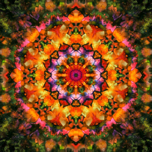 Miracle Wave的專輯Positive Energy - 417 Hz Soundscapes