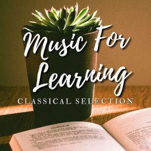 Listen to II song with lyrics from The St Petra Russian Symphony Orchestra