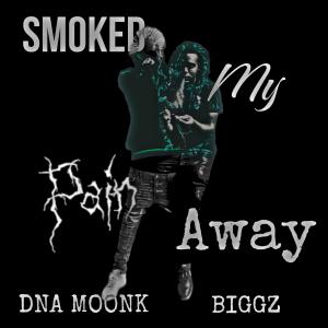 收聽DNA Moonk的Smoked my brain away (feat. BIGGZ) (Explicit)歌詞歌曲