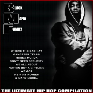 Various Artists的专辑Black Mafia Family The Ultimate Hip Hop Compilation