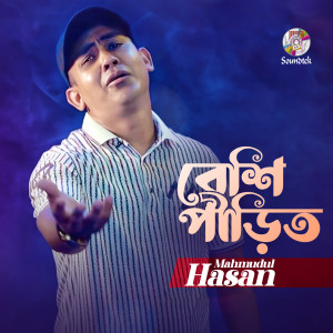 Listen to Beshi Pirit song with lyrics from Mahmudul Hasan