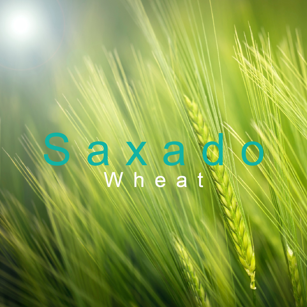 Wheat (Extended Version)