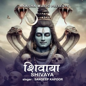 Album Shivaya from Sandeep Kapoor