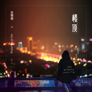 Listen to 楼顶 (DJ版) song with lyrics from 生哥哥