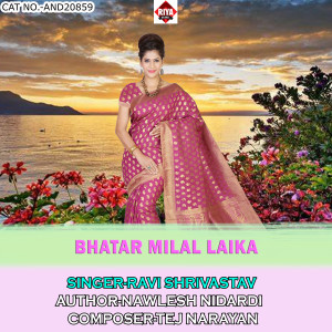 Album Bhatar Milal Laika from Ravi Shrivastav