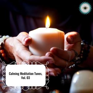 Various的专辑Calming Meditation Tunes, Vol. 03