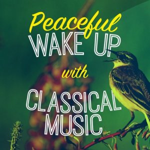 Chopin----[replace by 16381]的專輯Peaceful Wake up with Classical Music