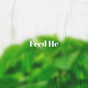 Album Feed He from Various