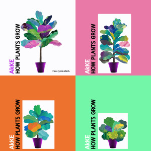 Listen to How Plants Grow song with lyrics from 아케