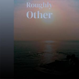 Various的专辑Roughly Other
