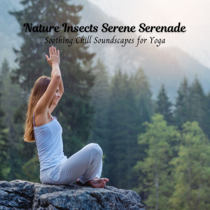 Album Nature Insects Serene Serenade: Soothing Chill Soundscapes for Yoga from Pure Yoga Music