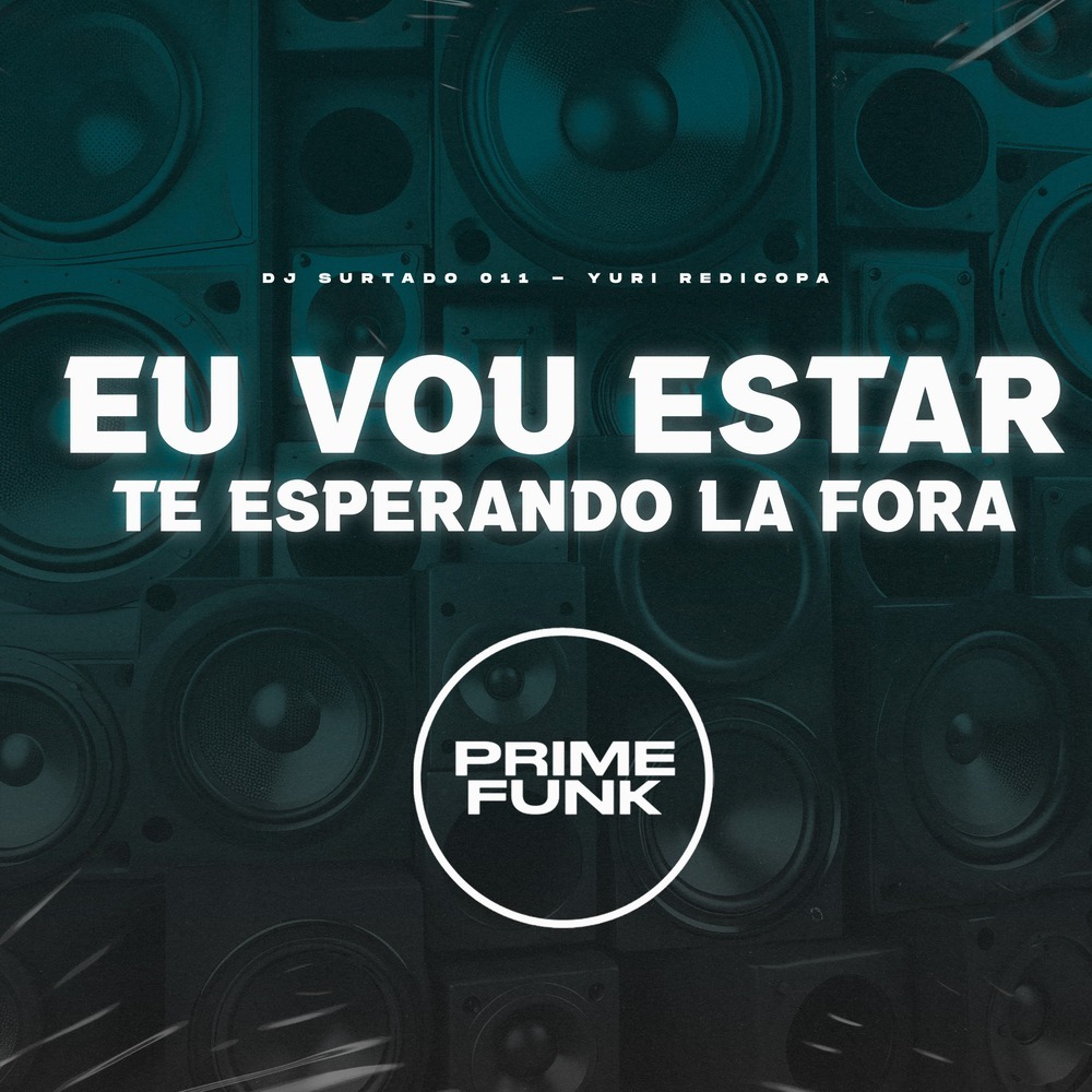 Eu Vou Estar Te Esperando La Fora (Explicit)