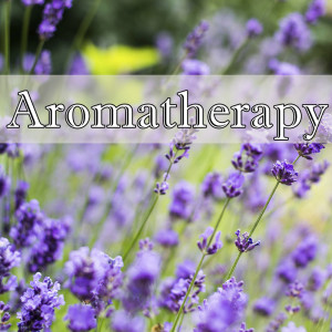 Album Aromatherapy from Nature Wonders
