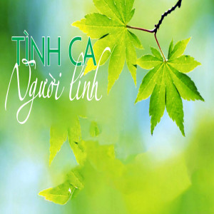 收聽Lê Dũng的Quê hương anh bộ đội歌詞歌曲