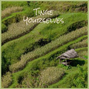 Album Tinge Yourselves from Various