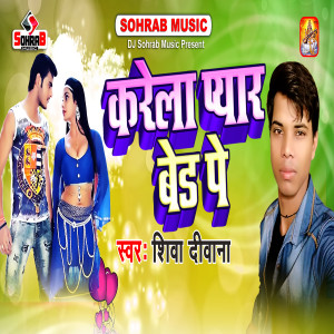 Album Kare Pyar Bed Pe from Shiva Deewana