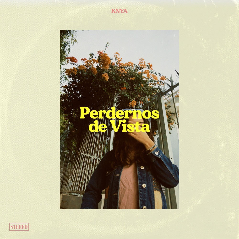 Perdernos de Vista