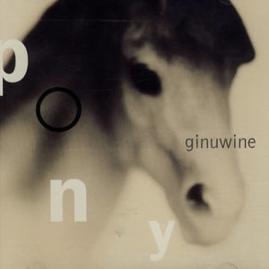 收聽Ginuwine的Pony (Extended Mix)歌詞歌曲