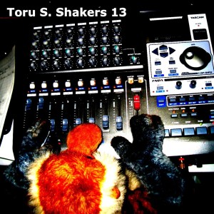 ดาวน์โหลดและฟังเพลง Take It Touch It พร้อมเนื้อเพลงจาก Toru S.