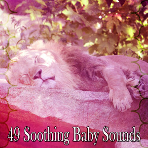 Baby Lullaby的專輯49 Soothing Baby Sounds