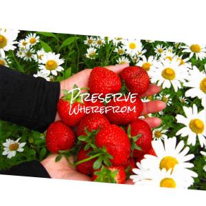 Listen to Depart Wheresoever song with lyrics from Matthe Wyger