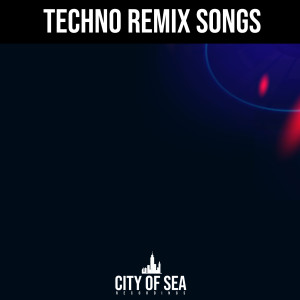 Album Techno Remix Songs oleh Snorre Glimbat